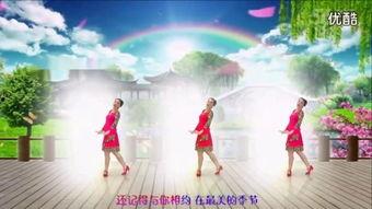 科技舞曲兄弟,探索电子音乐的魅力与传承