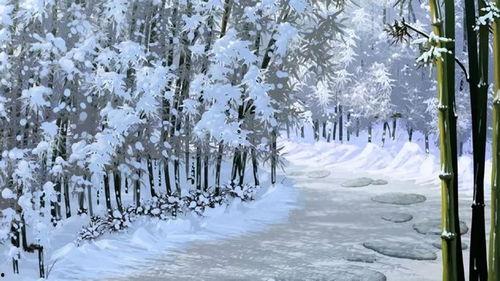 景年已过万重雪