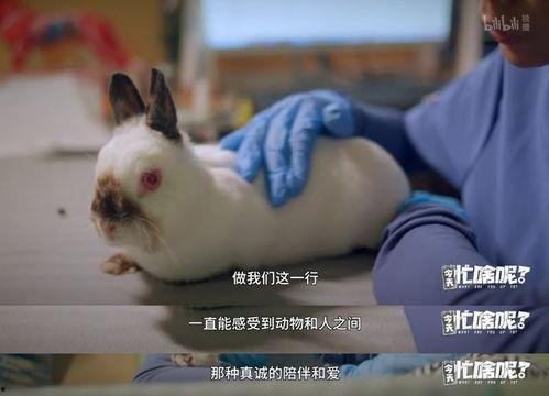 今天忙啥呢?,今日忙碌生活掠影